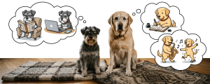 Two dogs wearing glasses sit on a rug beside a fireplace